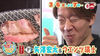 発見！タカトシランド