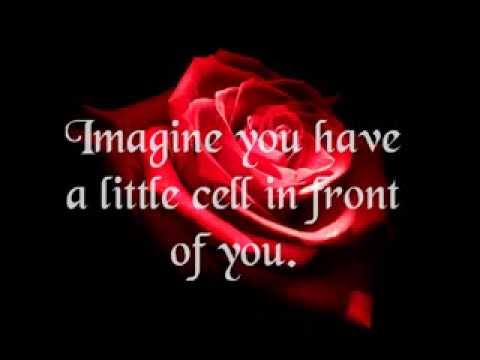 how to know twin flame