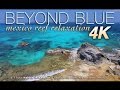 BEYOND BLUE 4K Mexico Reef Relaxation Nature Relaxation™ Video 1 HR UHD
