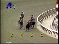 1995 Demoiselle Stakes 1995 Demoiselle Stakes