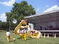 CACC Dragon Dance Junior team-Wilmington Youth Day 2007