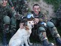 irish army and u.n