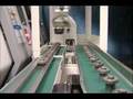 STAUBLI ROBOT - INDUSTRIAL APPLICATION - HAAS LATHE TENDING