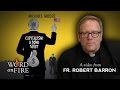 Fr. Barron comments on Capitalism: A Love Story
