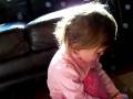 videos de 0812 animals