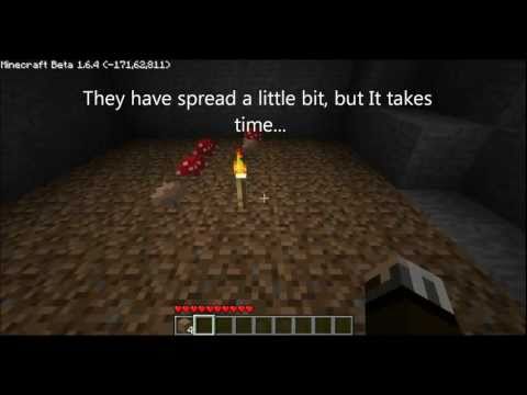 how to plant mushrooms in minecraft