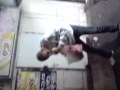 MOV01091