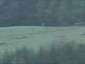 PAI 338 lapua 1080 yd shot.mp4