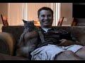 Day with my cats