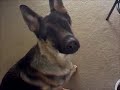 Stoic being told he can eat.