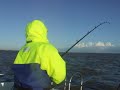 fishing for cod mersea island