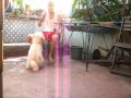 Aso ni Regie: Playing while having coffee