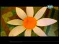 Angela Dimitriou.flv