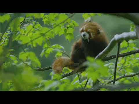 The Hidden Kingdoms of China