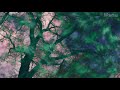 4 Jahreszeiten (Antonio Vivaldi) (5) Herbst  Four Seasons