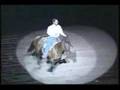 Freestyle Reining, Bridleless