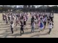 300動画16