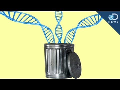 how to eliminate dna traces