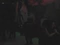 Orchestra Tango Tinto Torino Anima Tango Aldobaraldo Orchestra Tango Tinto Torino Anima Tango Aldobaraldo