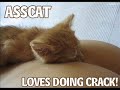 See Video