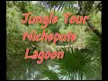 Jungle Tour Nichupte Lagoon in Cancun