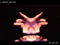 soul fingers