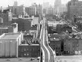 Edward Norton and the high line