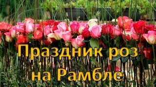 Рамбла в цветах