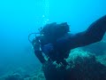 Triton Scuba Diving Centre Video