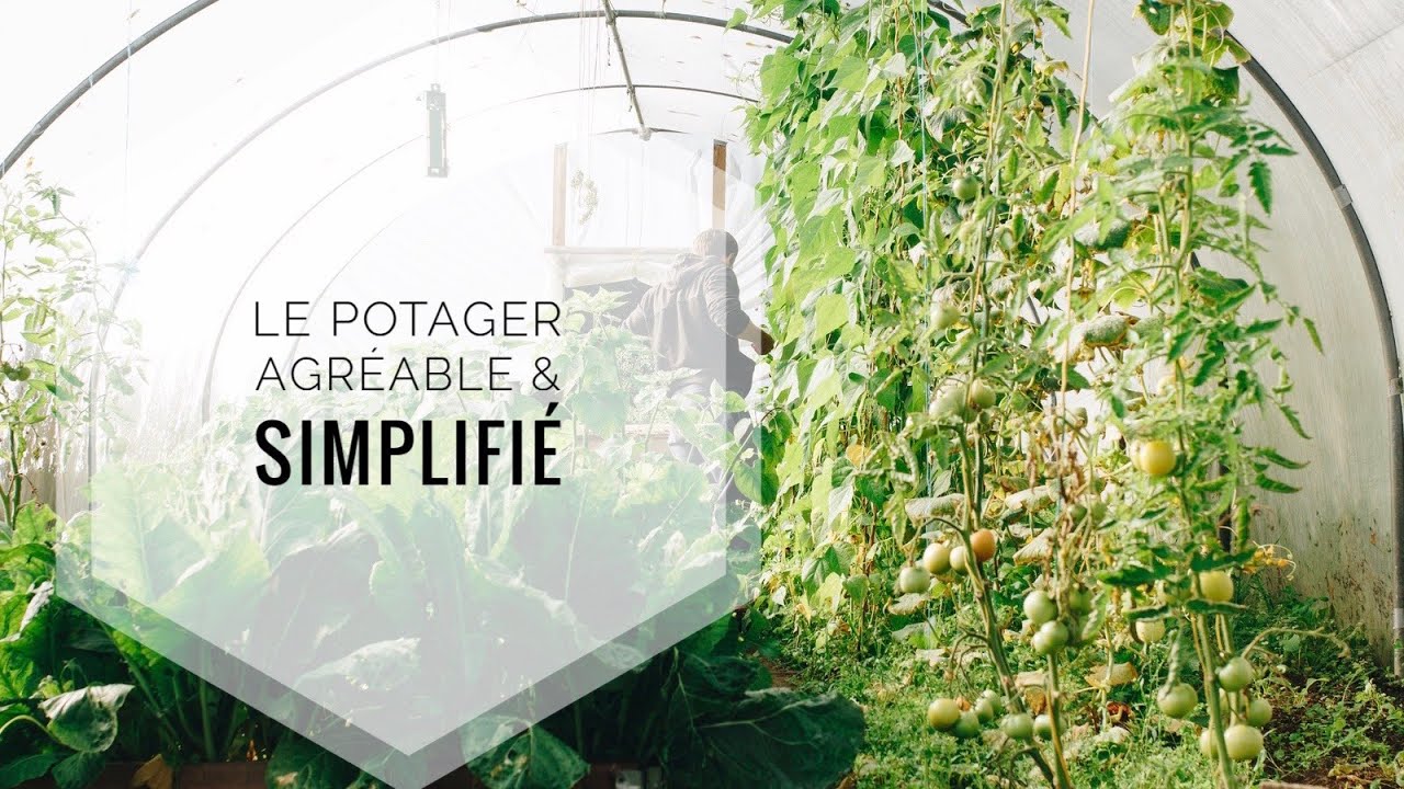 Le potager AGRÉABLE et SIMPLIFIÉ