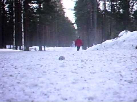 Sigdalsrally 2009 results and videos: PG Andersson wins his second Norwegian rally in a row YouTube Preview Image