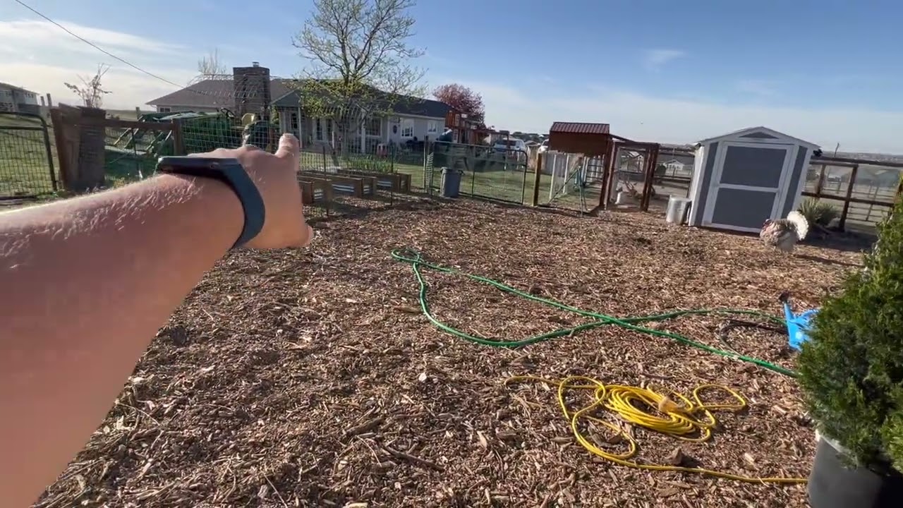 5/10 Giant Pumpkin Update.