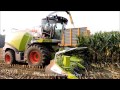 Click to View : Maisernte 2014