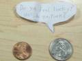 Lucky-Penny