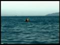Los Hermanos -- O Vento - Clipe Oficial