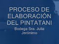 pintatani.wmv
