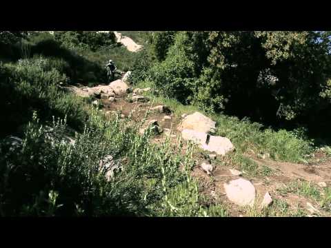 chain reaction cycles