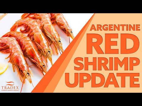 3MMI - What Happened To Argentine Red Shrimp? Low Supply, High Demand, Strong Pricing, Labor Disputes