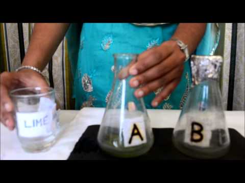 how to prove photosynthesis