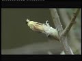 Globalnomad-nature-mother nature-Enviromentality Globalnomad-nature-mother nature-Enviromentality
