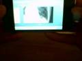 Life Record EMR On the iPhone
