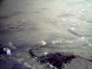 VQ1005 VistaQuest  2