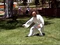 5 Animal Qi Gong (monkey and bear)