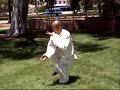 5 Animal Qi Gong (monkey and bear)