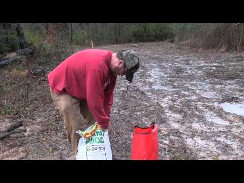 how to fertilize clover