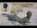 criptozoologia animal