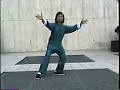 Master CK Chu Yang Short Form