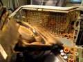 Fan Cleaning, Dell Dimension, 5100C