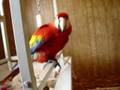 videos de MOV01964.MPG