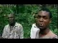 Des forêts tropicales au brainforest - L'iboga